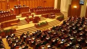 Bogații candidați la parlamentare: De la profesoara care a făcut greva foamei la Dan Diaconescu