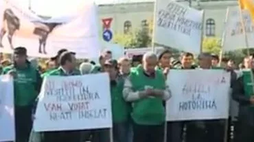 Incidente violente la mitingul agricultorilor din faţa Guvernului: Un protestatar, dus la spital. Patru fermieri, ridicaţi de jandarmi (VIDEO)