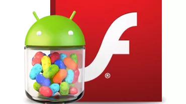 Cum poți să îți instalezi Flash Player pe Android 4.1