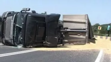 Traficul pe DN7, blocat în județul Arad, după ce un tir care transporta bovine s-a răsturnat pe șosea