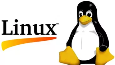 Un nou malware, Rootkit.Linux.Snakso.a, se răspândește pe serverele linux
