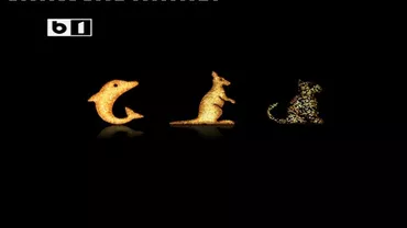 Fiica Iuliei Timoşenko, îngrijorată pentru starea de sănătate a mamei sale: „E în greva foamei de 12 zile, nu ştim ce se poate întâmpla”