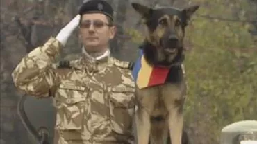 Max, câinele de luptă al Armatei Române, primul patruped participant la o paradă de 1 Decembrie