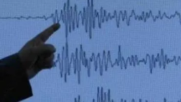 Un cutremur de 4,8 s-a produs în Marea Neagră