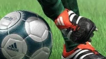 Liga I: Pandurii Târgu Jiu - Gaz Metan Mediaş, scor 1-1