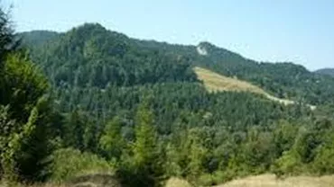 Iași: Un băiat de 15 ani a fost împușcat în timp ce încerca să taie un brad din pădure