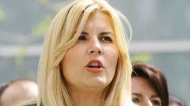 Udrea, despre desemnarea premierului: Nu cred că președintele va genera o criză politică