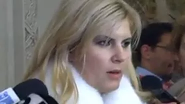 Elena Udrea: Guvernul Ponta 2 aduce aminte de Cabinetul Năstase