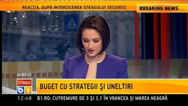 Președintele Viktor Ianukovici este împotriva transferului Iuliei Timoşenko în străinătate pentru tratament