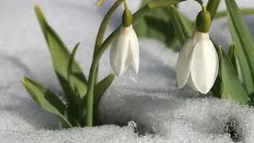 Prognoza meteo pentru intervalul 18 februarie - 4 martie: Temperaturi maxime pozitive în majoritatea zonelor țării