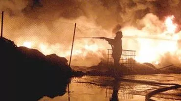 Incendiu la un service auto din Constanța: 3 mașini au ars în totalitate, pagube de câteva zeci de mii de euro