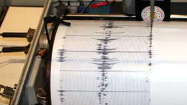 Un cutremur de 3,5 s-a produs în zona Vrancea