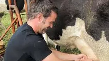 DSVSA Sibiu a instituit o celulă de criză care face controale zilnice pentru verificarea laptelui