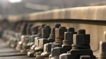 Bacău: Doi tineri, prinși de polițiști cu o șină de cale ferată furată