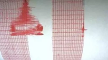 Cutremur de 3,6 în Moldova, lângă Bacău