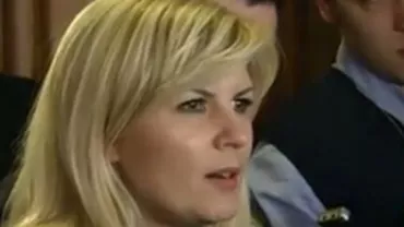 Elena Udrea: Nu îmi doresc să se rupă PDL, dar această chestiune trebuie să fie o grijă pentru conducerea partidului