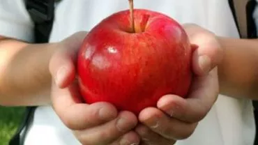 Banii alocați programului de distribuire de fructe și legume în școli, pentru România, înjumătățiți de Comisia Europeană