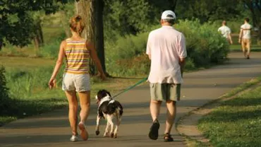 Proiect al CGMB: Bucureștenii vor fi obligați să sterilizeze câinii mai mari de șase luni