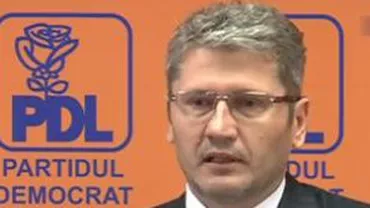 Liviu Negoiță: În toamnă vor fi demarate alegerile pentru desemarea candidatului PDL la prezidențiale