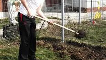 Vaslui: Bărbat condamnat la închisoare pe viață după ce și-a ucis fiica de 5 ani și tatăl cu lovituri de sapă în cap