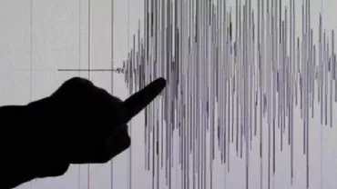 Un cutremur de 3,5 s-a produs în zona Vrancea