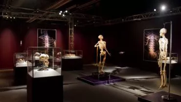 Expoziția temporară ”The Human Body” va putea fi vizitată în Noaptea Muzeelor doar pe bază de bilet
