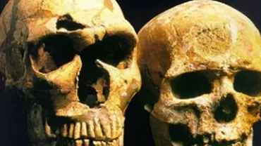 Cancer osos la fosila unui om din Neanderthal: "Este cea mai veche tumoare găsită la o fosilă de om" (FOTO)
