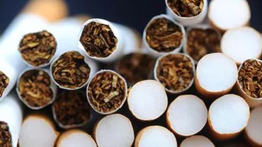 Oradea: Zece persoane au fost reținute și peste 20.000 pachete de țigări au fost confiscate în urma unor percheziții