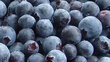 Virusul hepatic A, găsit într-un lot de fructe de pădure din Italia: Ar putea proveni din România