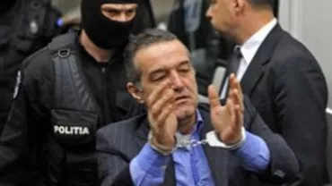 Solicitarea de contopire a pedepselor primite de Gigi Becali va fi judecată pe 27 iunie