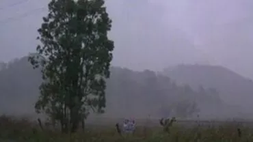 Cod portocaliu de ploi torențiale în Suceava și Neamț. Cod galben pentru Cluj și Dâmbovița