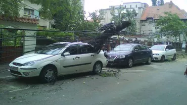 ISU Bucureşti: 20 de copaci şi un stâlp de electricitate, doborâţi de furtună