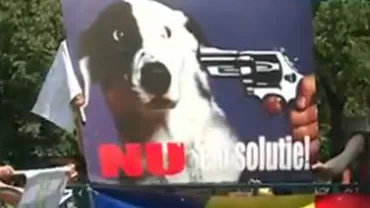 Miting în București, pentru demiterea conducerii Autorităţii pentru Supravegherea şi Protecţia Animalelor
