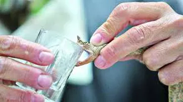 Ialomiţa: Un bărbat s-a ales cu braţul amputat după ce a recoltat veninul unei vipere crescute ilegal