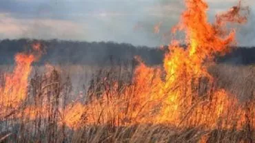 Incendiu în apropiere de aeroportul Otopeni: Zborurile nu au fost afectate