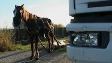 Cioban mort în Dâmbovița, după ce căruța în care se afla a fost izbită de un TIR