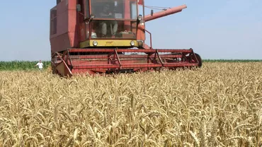 Consiliul Concurenței face verificări la sediile marilor traderi de cereale privind posibile înțelegeri de tip cartel