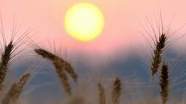 Creștere cu peste 4 grade Celsius a temperaturilor medii în România, în următorii 50-100 de ani