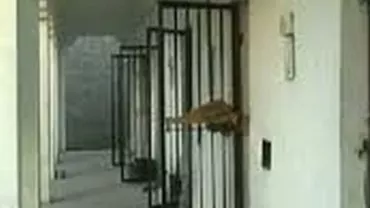 Vaslui: Un bărbat condamnat pe viaţă s-a sinucis în penitenciarul Târgu Ocna