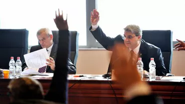 CGMB a aprobat anularea referendumului local privind eutanasierea câinilor maidanezi