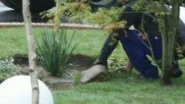 Angajații Primăriei Tulcea plantau panseluțe și gazon în timp ce orașul era inundat (VIDEO)