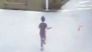 Imagini cu Ionuț și fratele său, cu câteva minute înainte de a fi ucis de câini (VIDEO)