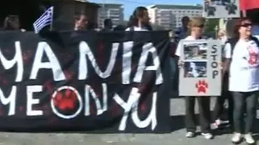 Protest în fața Ministerului Afacerilor Interne: Bucureștenii se împotrivesc eutanasierii maidanezilor (VIDEO)