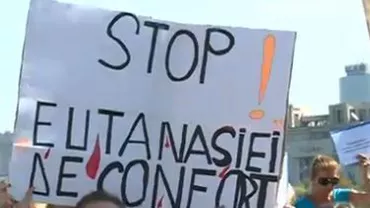 Legea maidanezilor, discutată la Curtea Constituțională