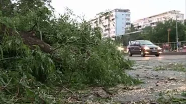 Tramvaiele liniilor 1, 8, 11, 25 şi troleibuzele 71, 93 şi 96, blocate din cauza copacilor doborâți de vânt
