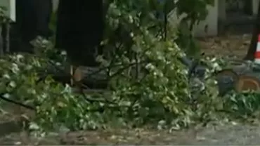 Mai mulţi copaci din Bucureşti, doborâţi de vijelie: O maşină, strivită în zona Dorobanţi (FOTO şi VIDEO)