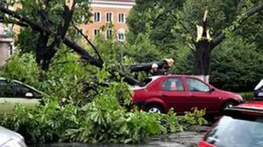 ISU București: În numai 10 ore, trei persoane au fost rănite, 61 de mașini au fost avariate și 125 de copaci au fost doborâți de vânt (FOTO)