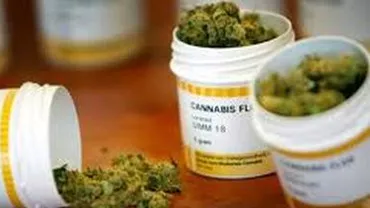 ANM: Nu avem nicio cerere privind canabisul medicinal. Dacă ar fi, am aproba-o