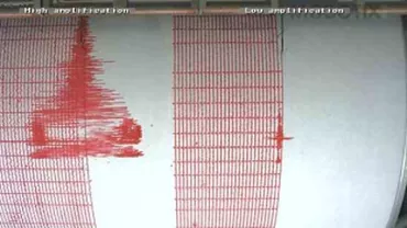 Cutremur de 2,7 pe scara Richter, înregistrat în Gorj