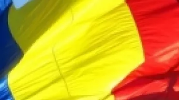 Fosta dirigintă a elevei cu bentiță tricoloră și directorul școlii, amendați cu câte 400 de lei